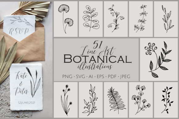 51 Line Art Botanical Illustrations: Your Design Toolkit