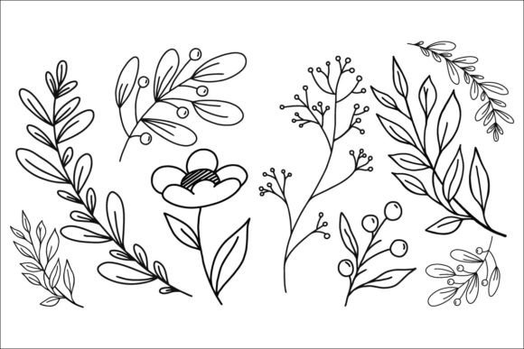 6 Botanical Illustrations: Elevate Your Creative Projects