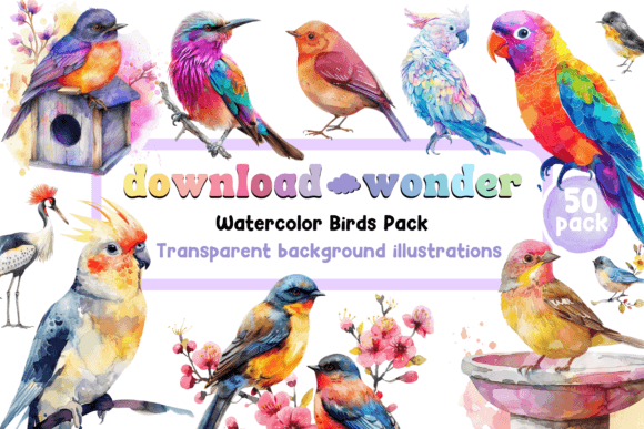Watercolor Bird Illustrations: A Designer's Essential Pack